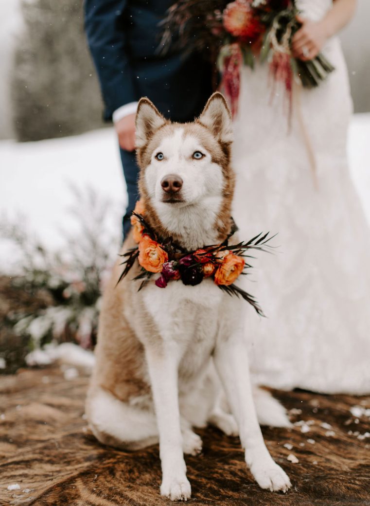 Evie Joy Photography, southwest Colorado adventure elopements and weddings.
